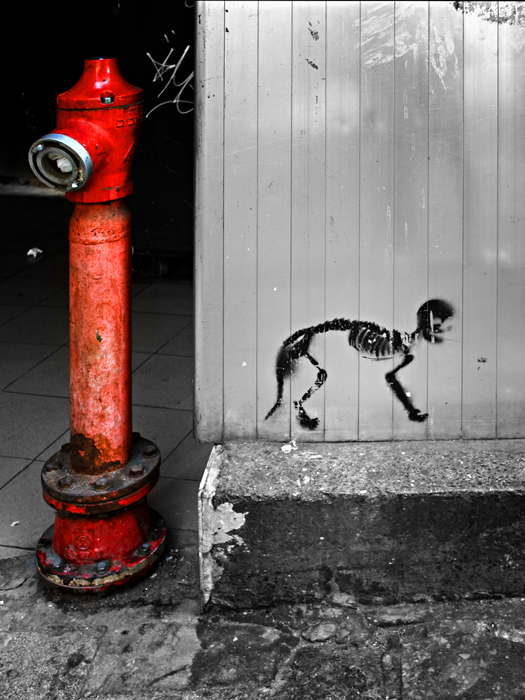 Фото жизнь (light) - Синицына Ольга - Об Израиле. С любовью :) - силуэты