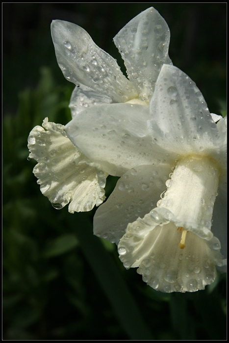 Мокрые юбочки