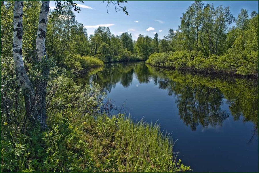 Фото жизнь