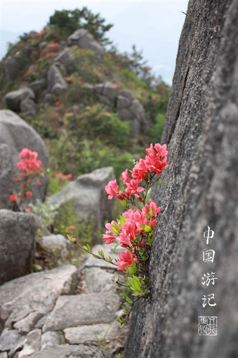 Весна в китайских горах дун ши шань