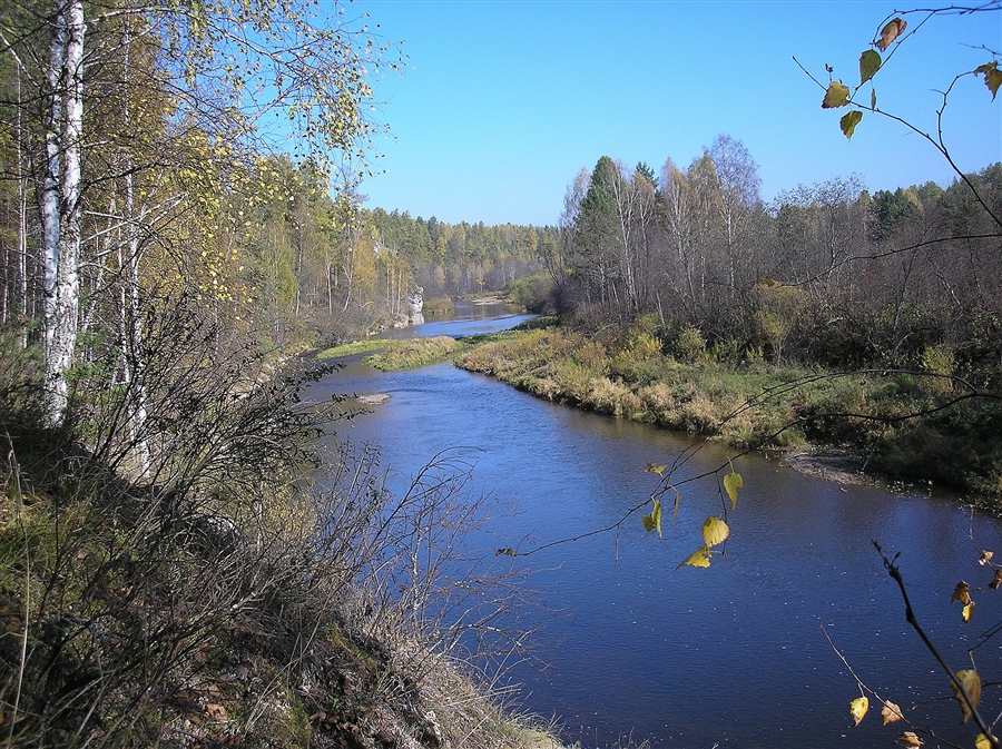 Фото жизнь