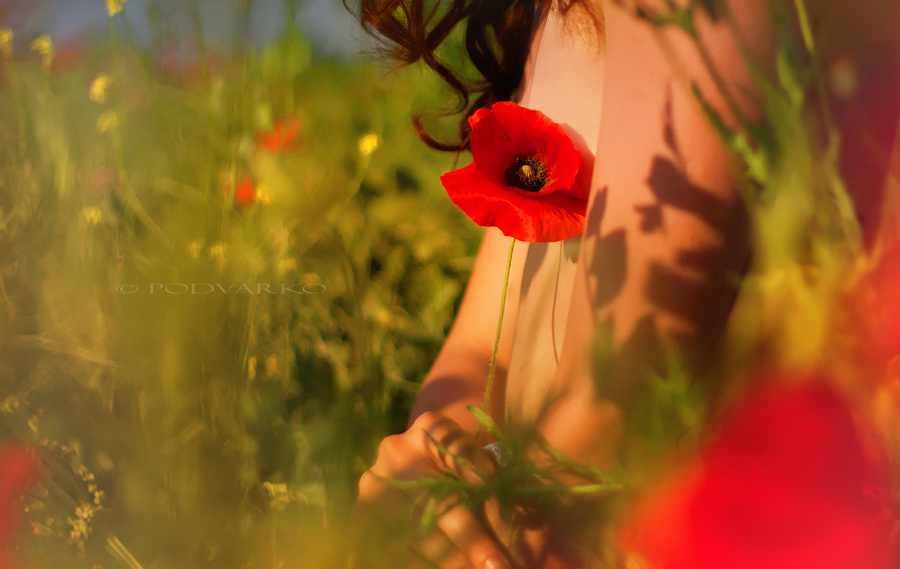 Фото жизнь (light) - podvarko - Лица и образы - ***