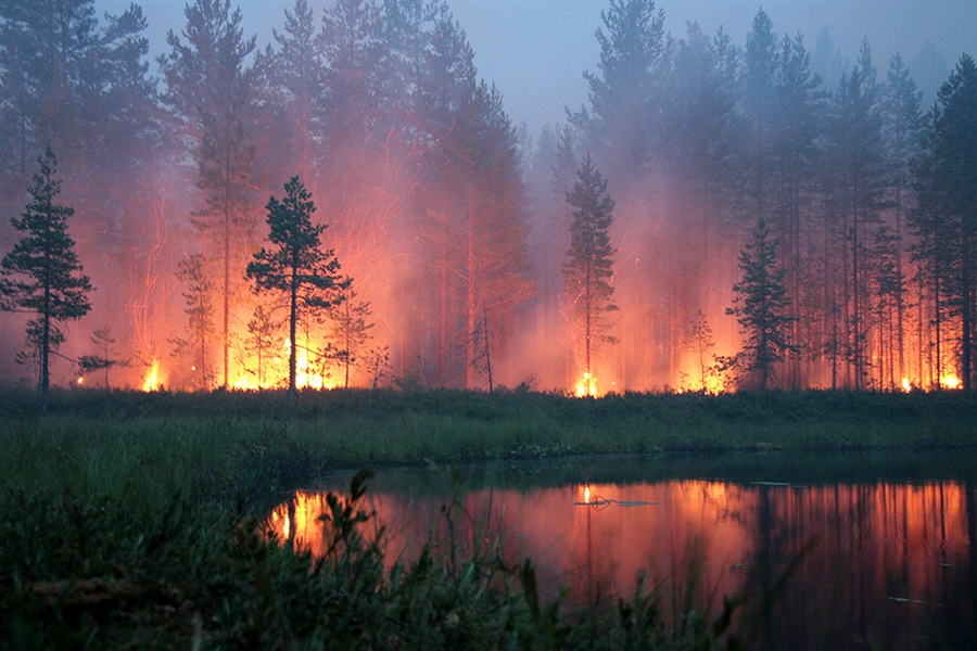 Фото жизнь