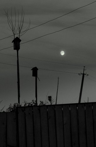 Фото жизнь (light) - Sunchik - корневой каталог - Темнота