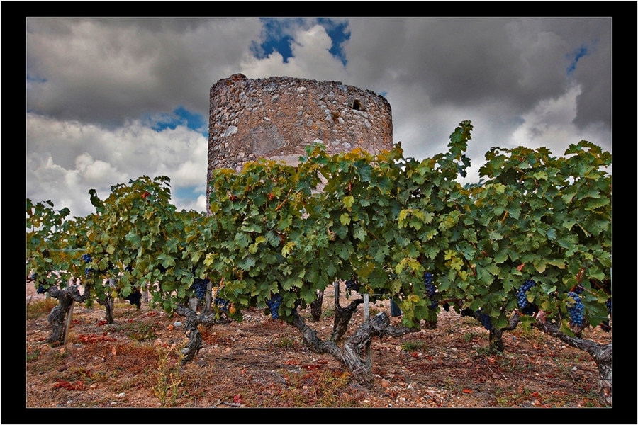 Grands Vins de Bordeaux