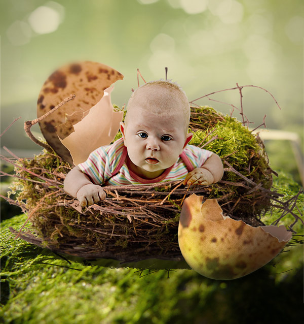 Фото жизнь (light) - Копилашвили Валерия - Дети цветы жизни - Вылупился