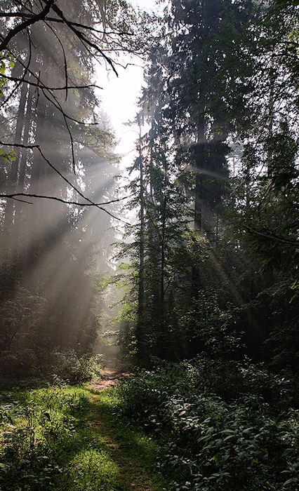 Фото жизнь