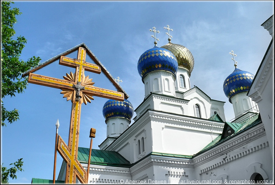 Фото жизнь
