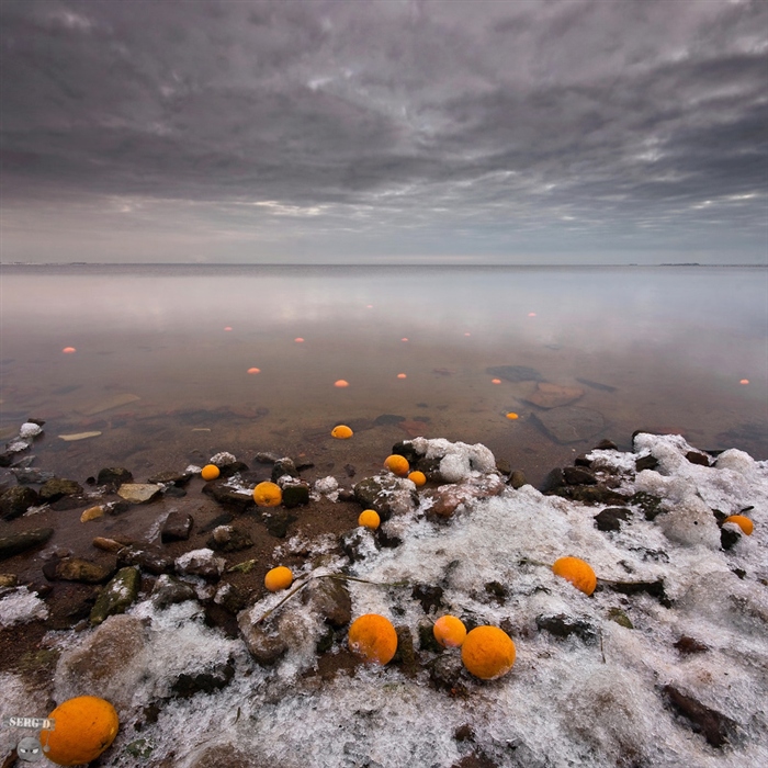 Фото жизнь