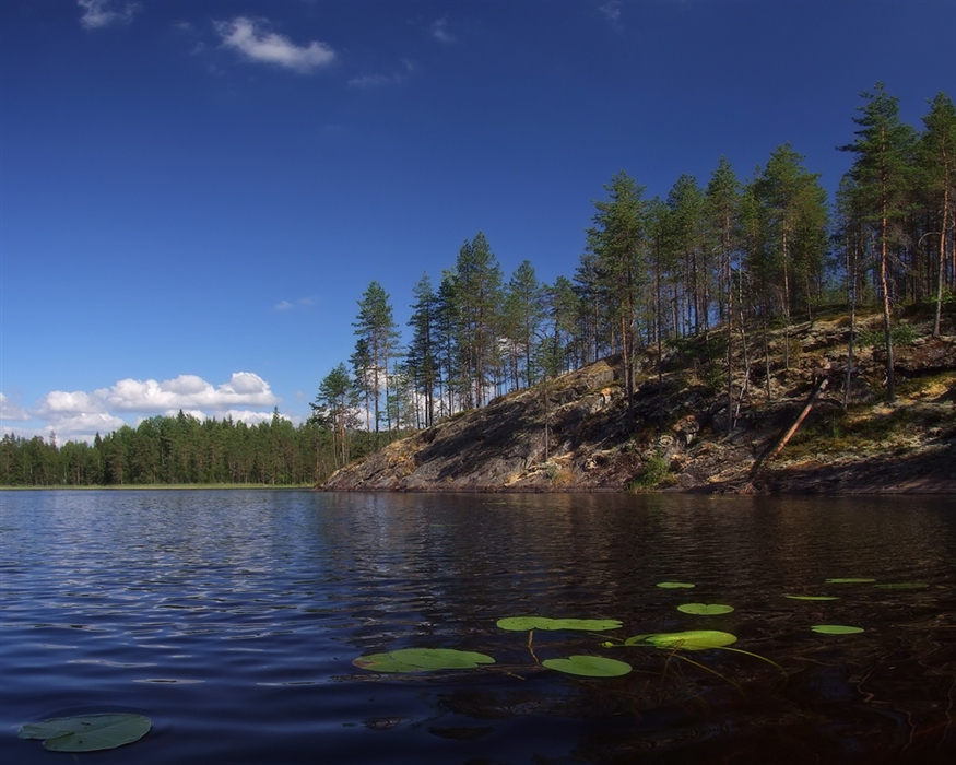 Фото жизнь