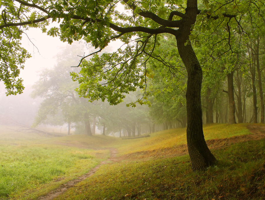 Фото жизнь (light) - Михаил Корнилов - корневой каталог - ***