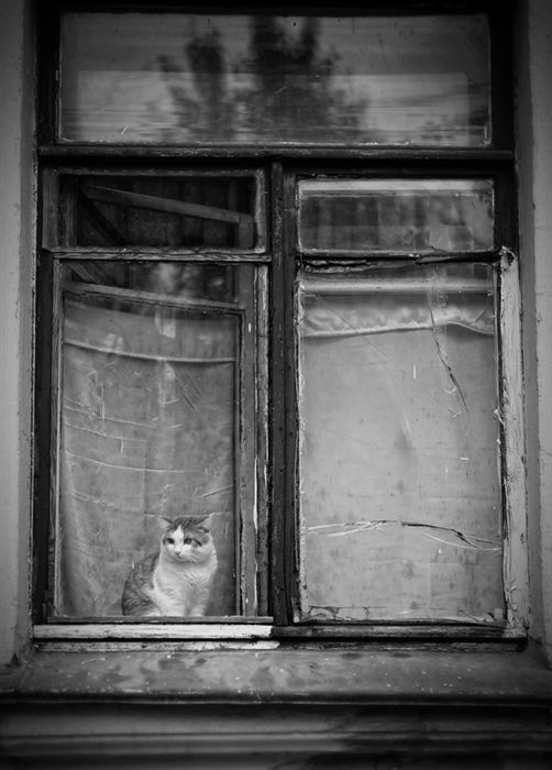 Фото жизнь