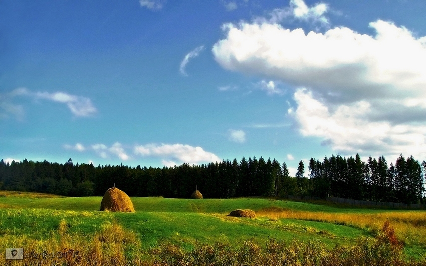 Фото жизнь (light) - АлексанDr ДавидOFF - *** - ***