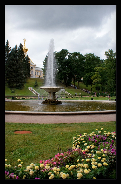 Фото жизнь