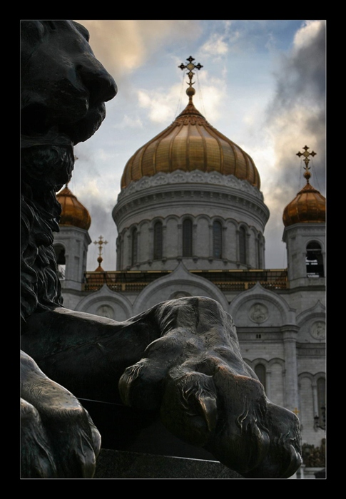 Фото жизнь