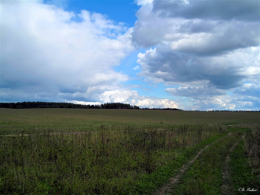 Фото жизнь
