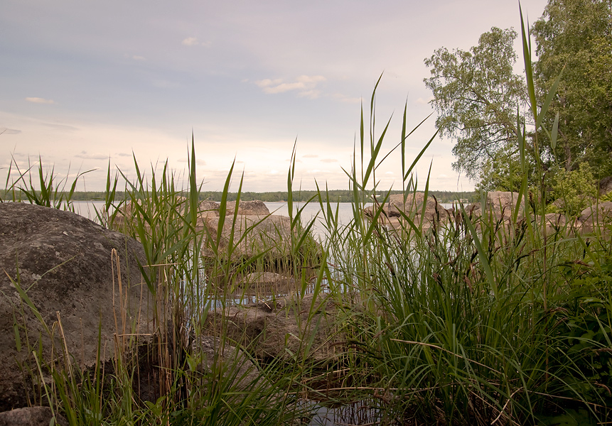 Фото жизнь (light) - GJanna - Ленинградская область - ***