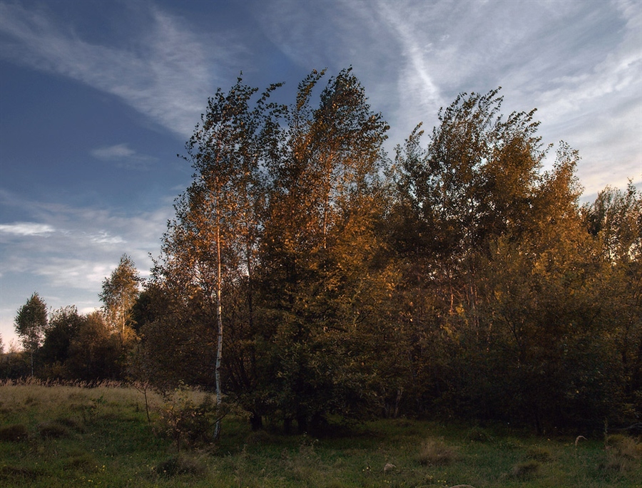 Фото жизнь