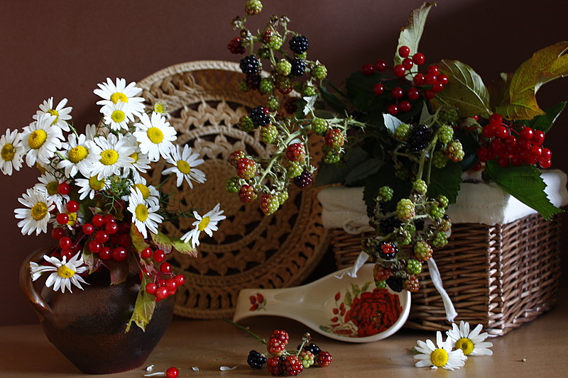 Фото жизнь (light) - inna korobova - корневой каталог - ромашки и ягоды