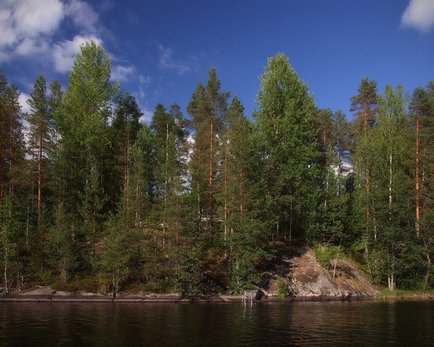 Фото жизнь