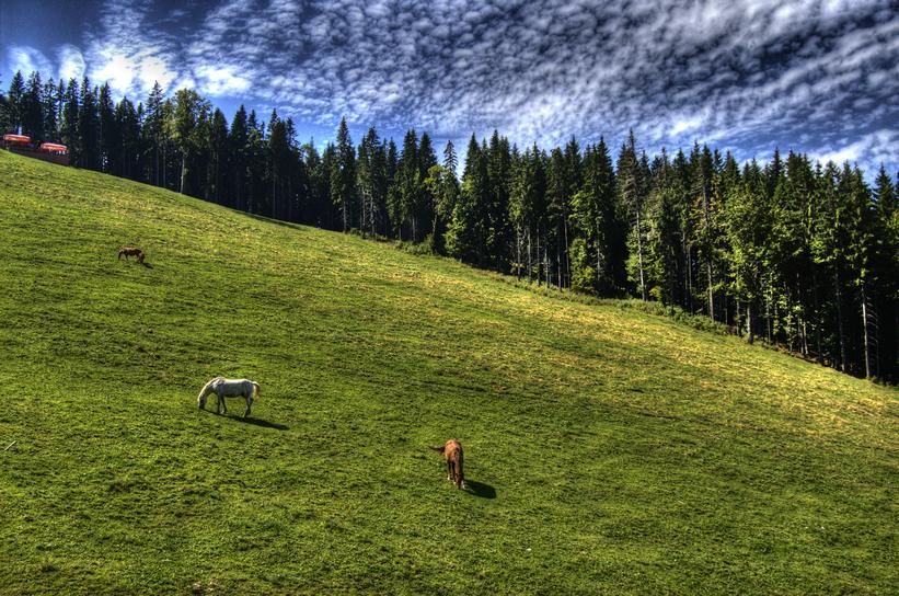 Фото жизнь (light) - Rostik - корневой каталог - ***