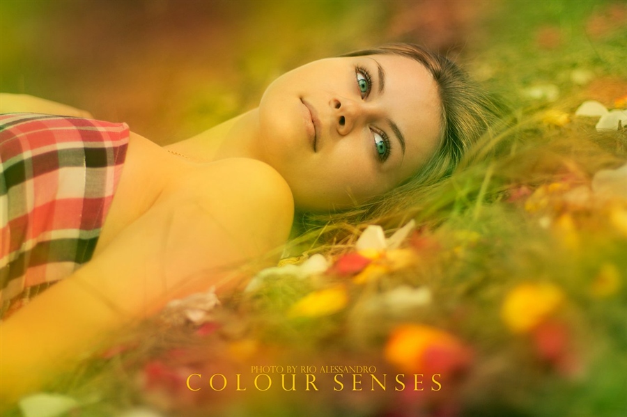 COLOUR SENSES