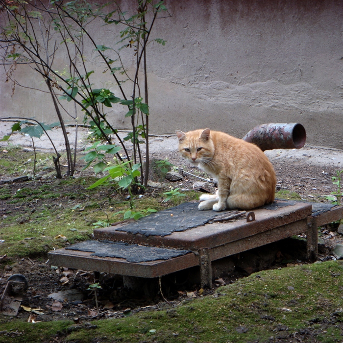 Фото жизнь