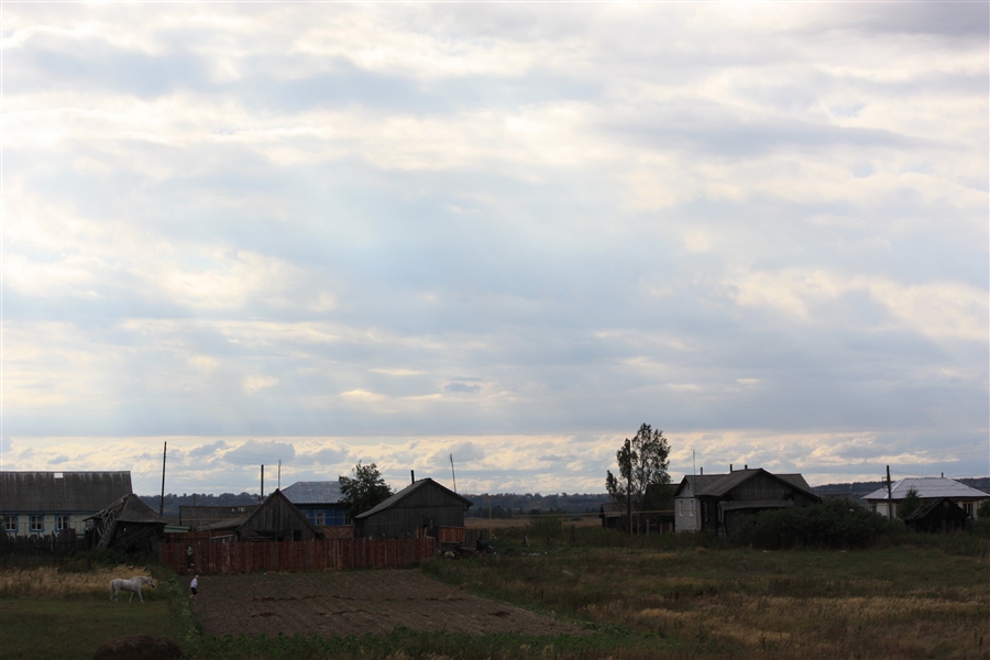 Фото жизнь