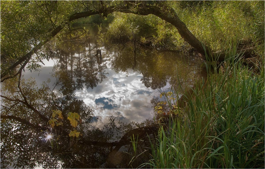 Фото жизнь