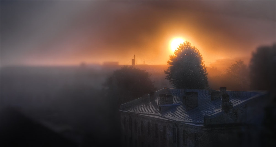 Фото жизнь