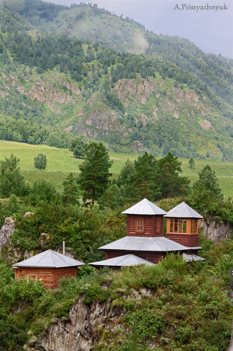 Фото жизнь