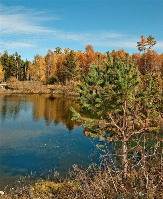 Фото жизнь