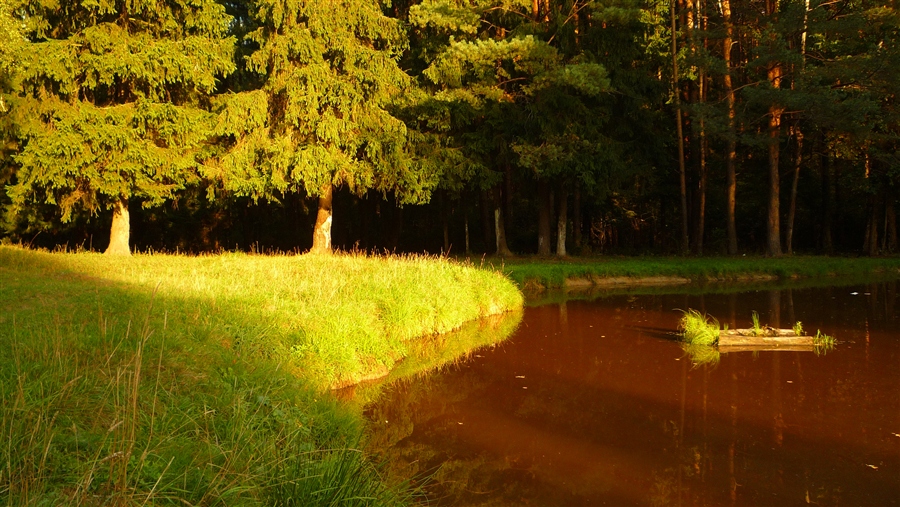 Фото жизнь