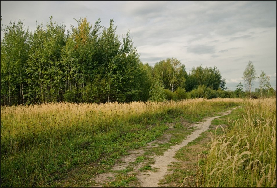 Фото жизнь