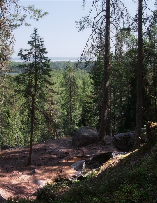 Фото жизнь