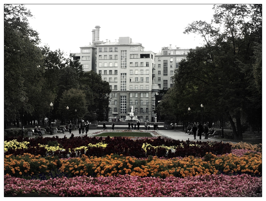 Фото жизнь