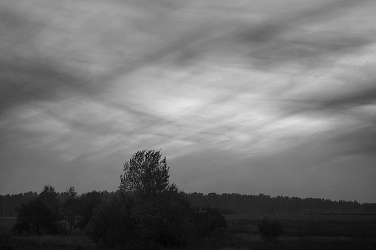 Фото жизнь (light) - Александр Zax - корневой каталог - ***