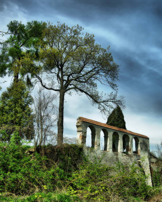 Фото жизнь (light) - igor_yakubenko - львовские зарисовки - в заброшенном саду