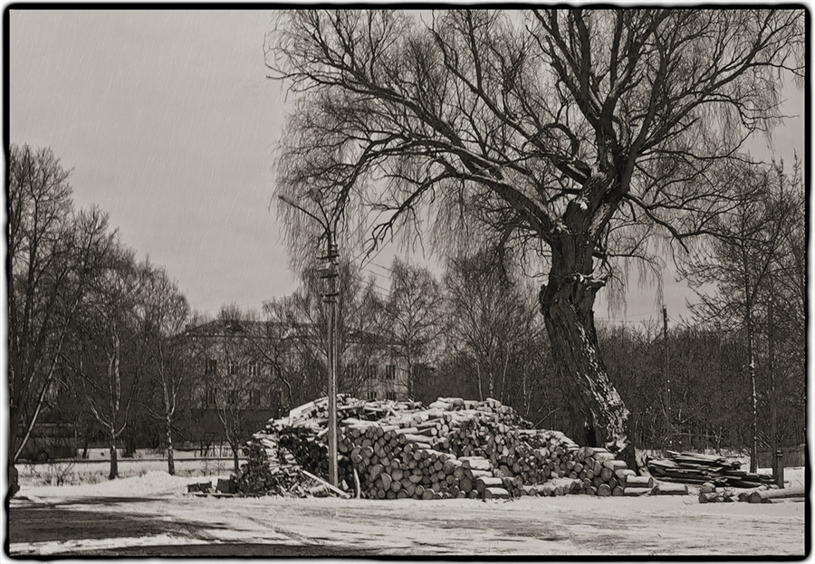 Фото жизнь