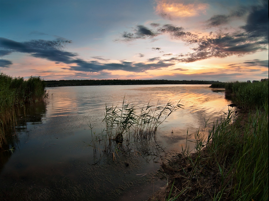 Фото жизнь