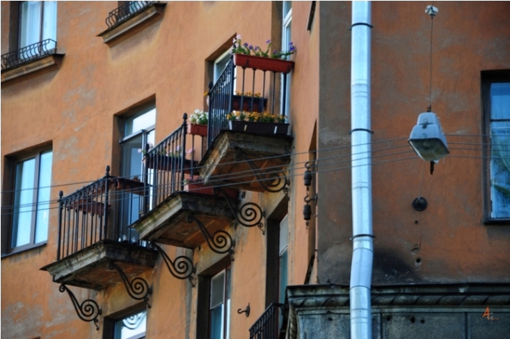 Фото жизнь (light) - Андрей Григорьев - корневой каталог - Трио