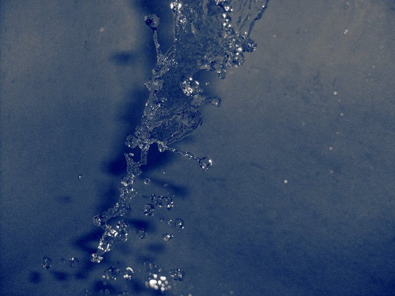 Фото жизнь (light) - Enton Pers - корневой каталог - вода