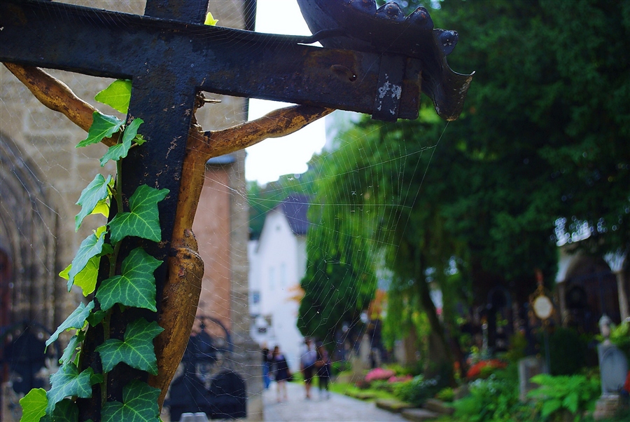 Зальцбург. Австрия