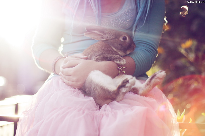 Фото жизнь (light) - Alisa Verner - корневой каталог - rabbit