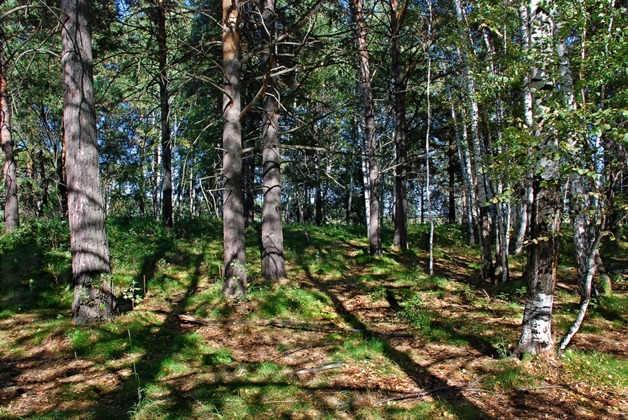 Фото жизнь