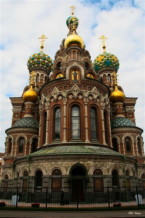 Фото жизнь