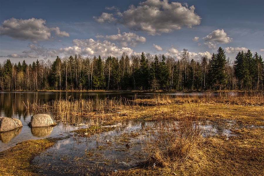 Фото жизнь