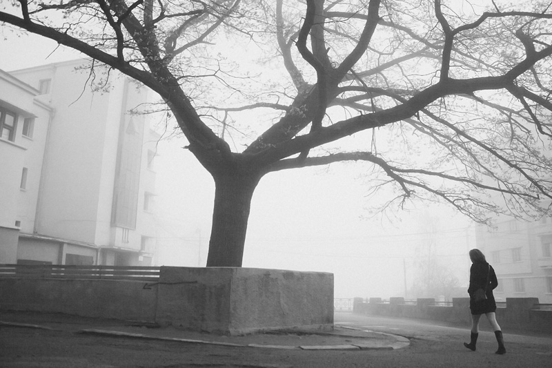 Фото жизнь (light) - CKira - корневой каталог - ***