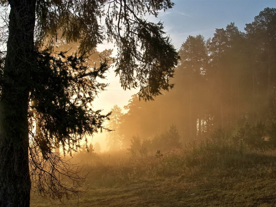 Фото жизнь