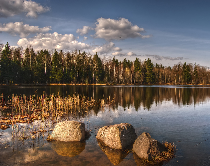 Фото жизнь